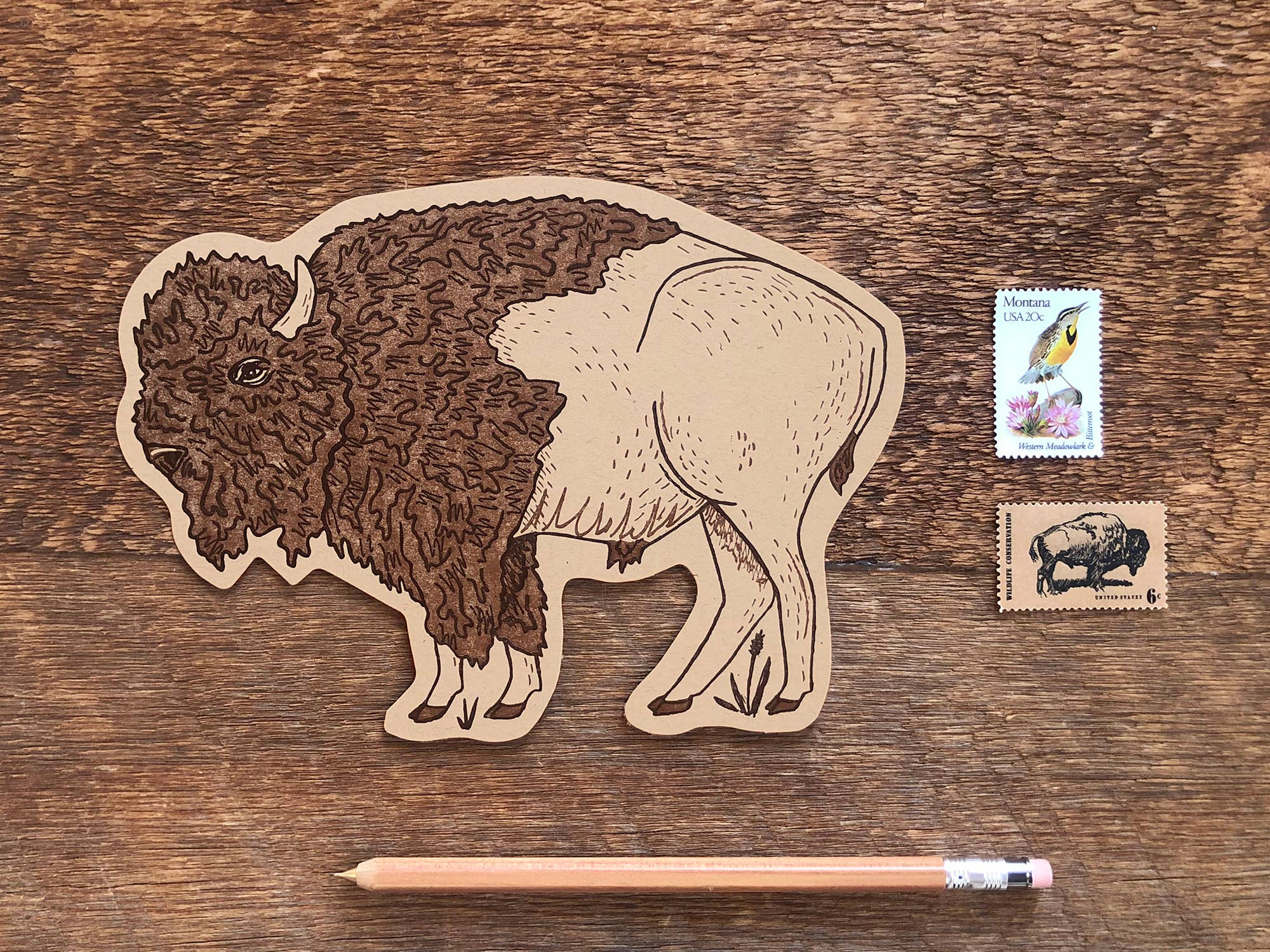 Bison Postcard XL