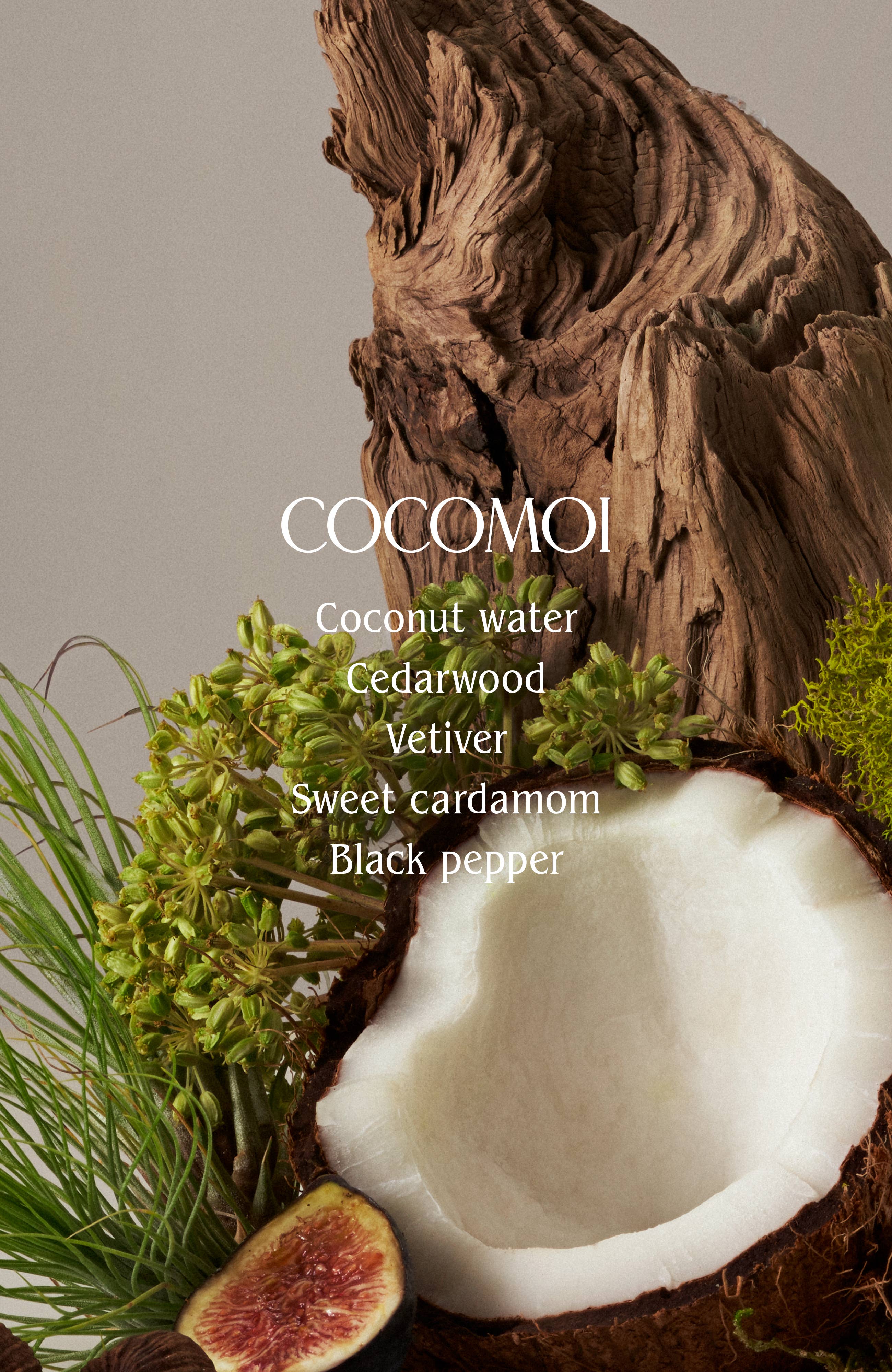 Homecourt - Signature Candle by Courtney Cox