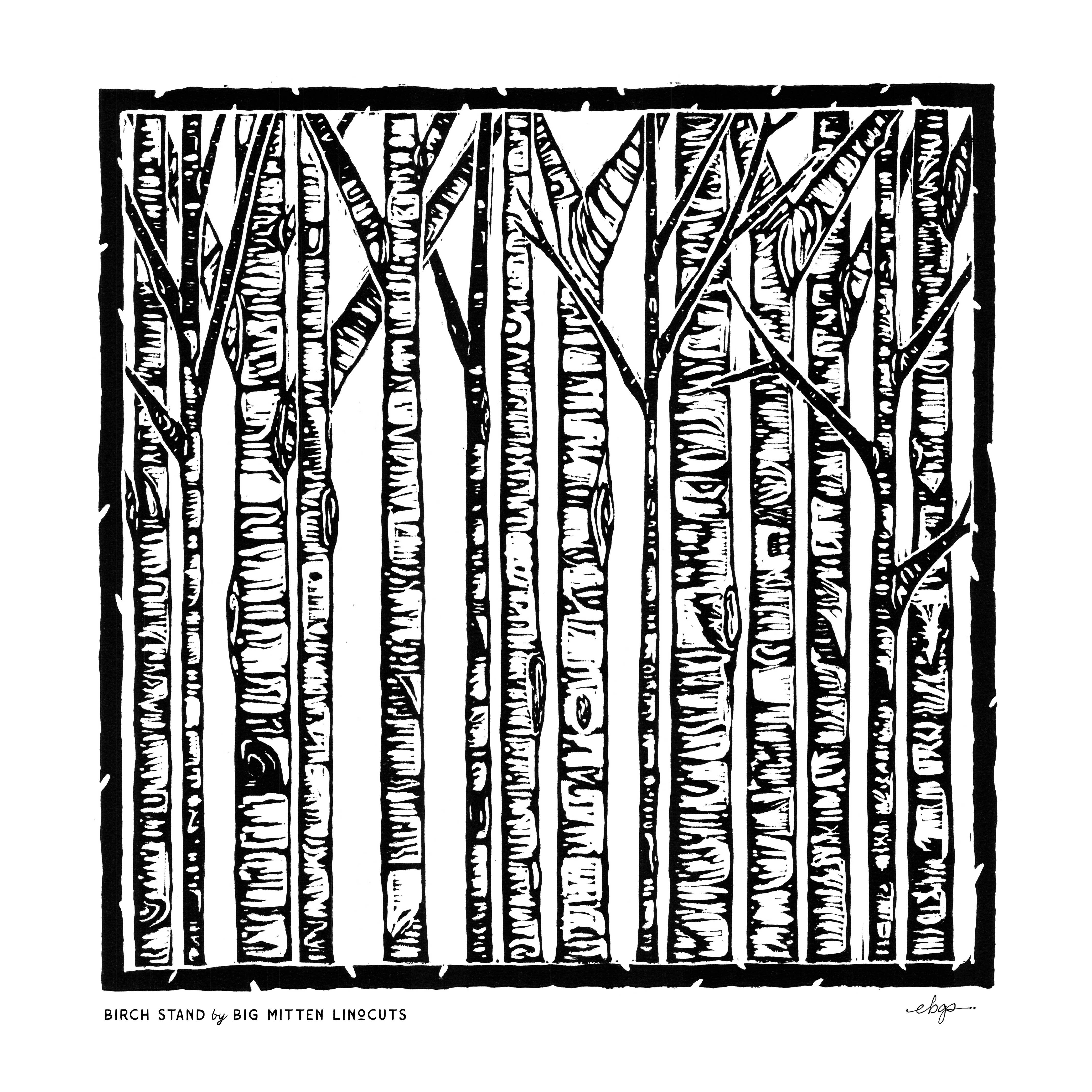 Print of Aspen trees