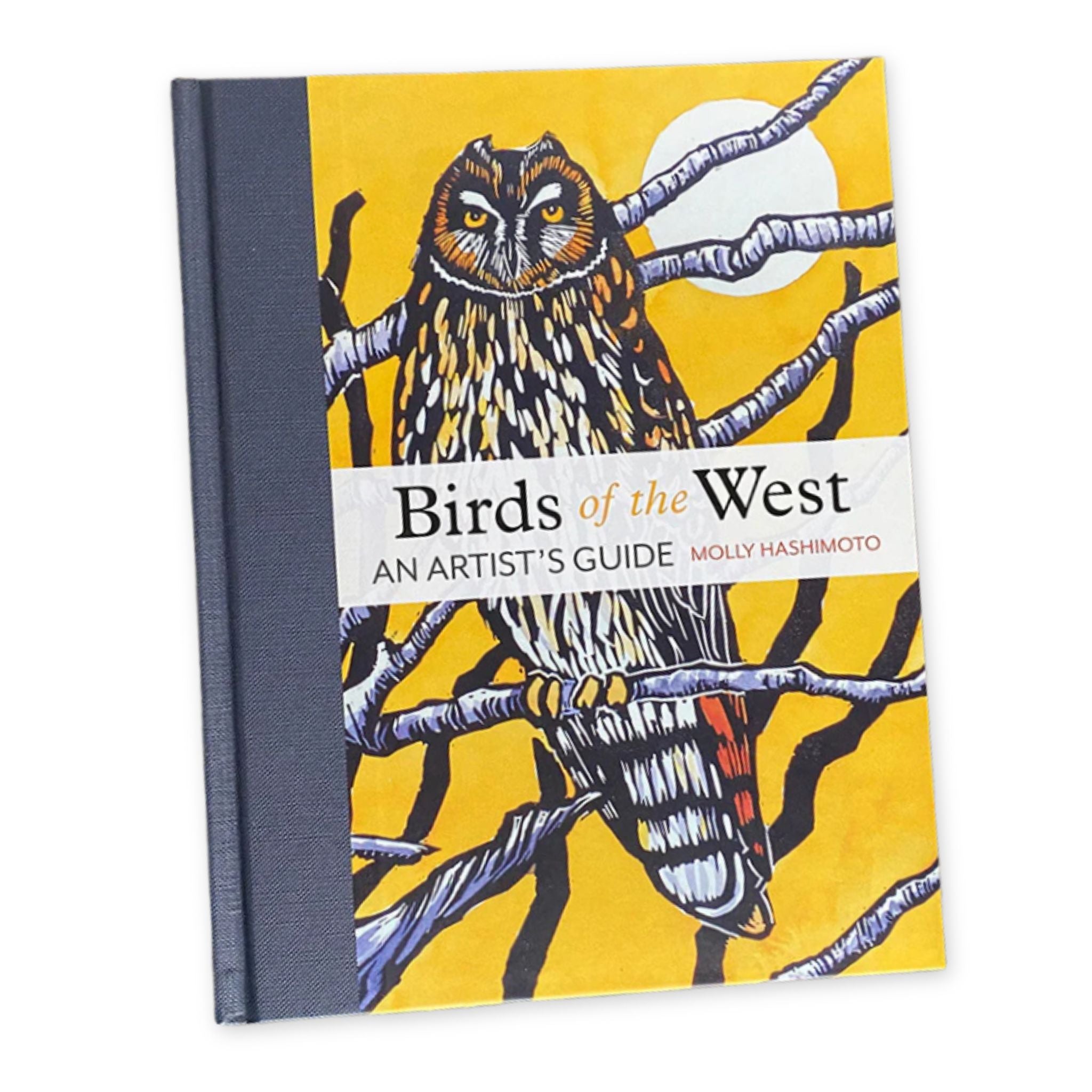 Birds of the West An Artist's Guide