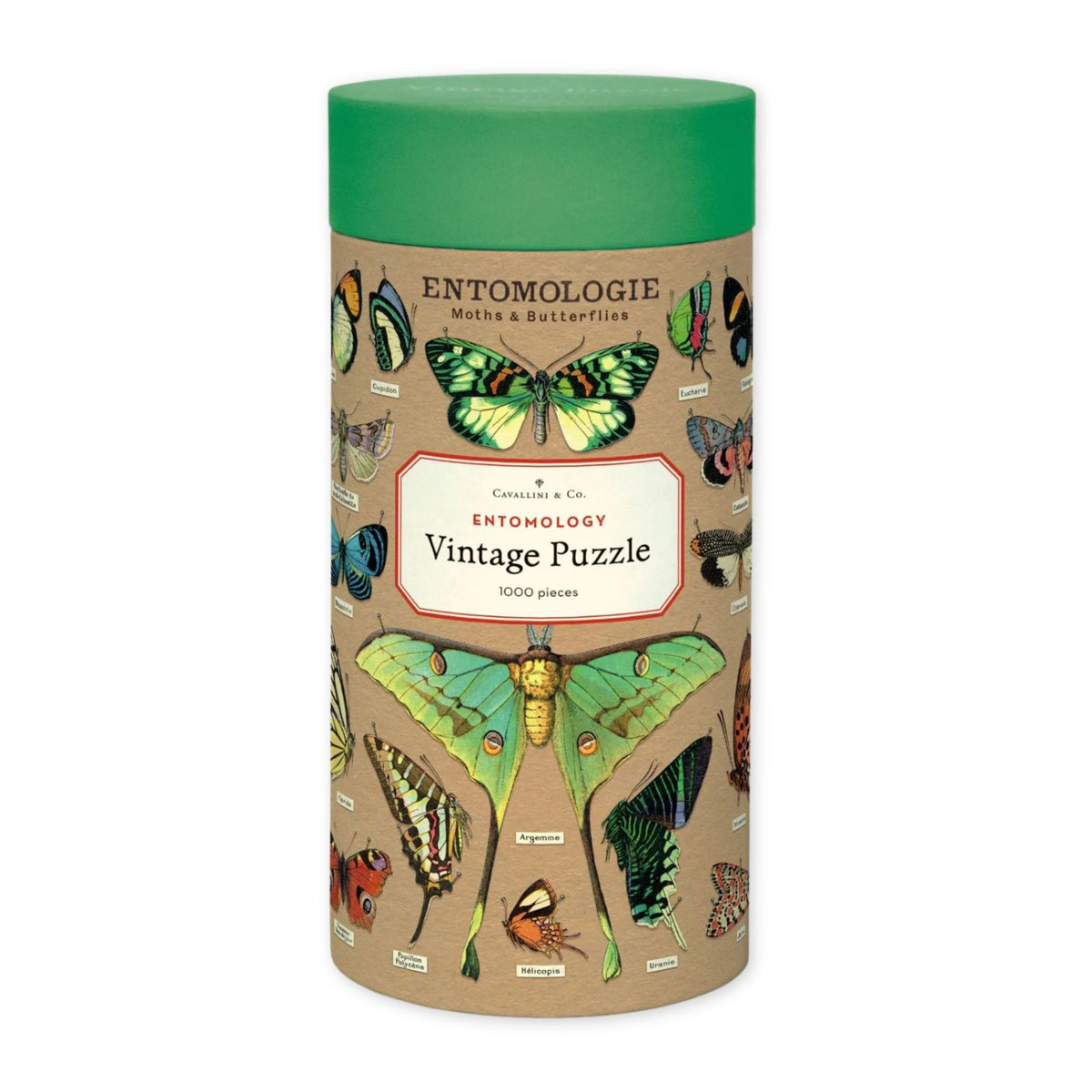 Vintage Entomology Puzzle