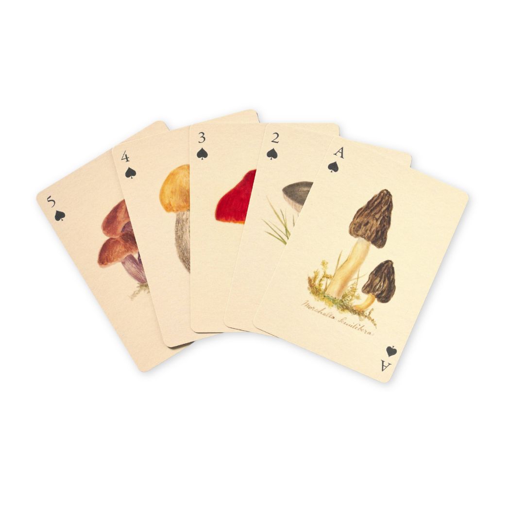 Set of playing cards with mushroom illustrations on a white background