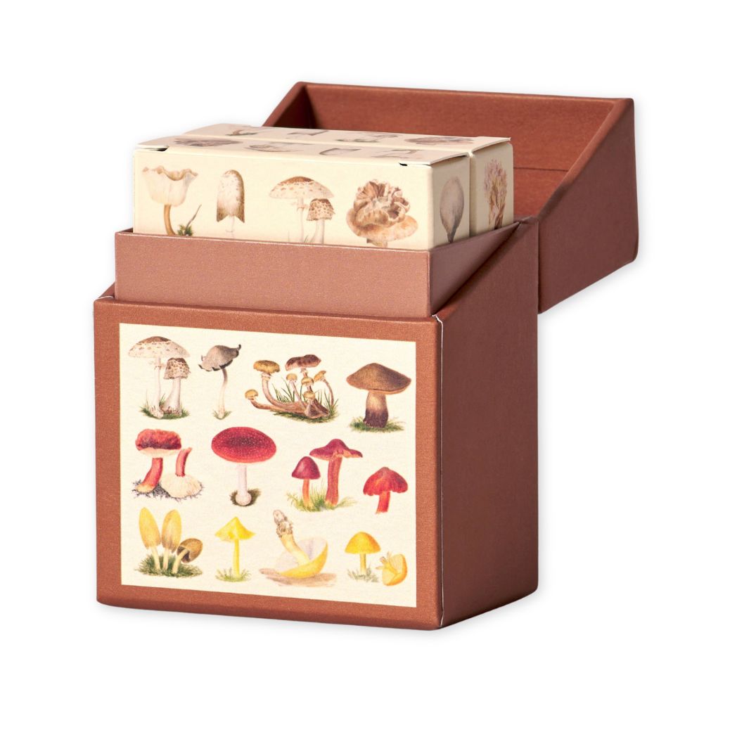 Brown box with mushroom illustrations on a white background