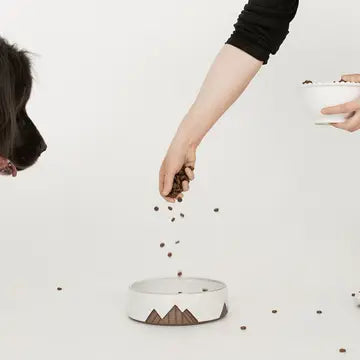 Person pouring food into a ceramic dog bowl with a mountain design on a white background