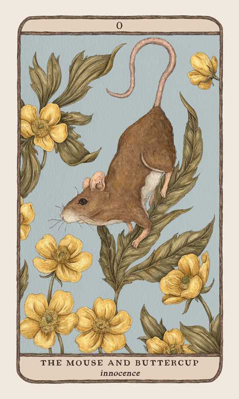 Illustration of a mouse and buttercup flowers on a card with text 'The Mouse and Buttercup' and 'innocence'.