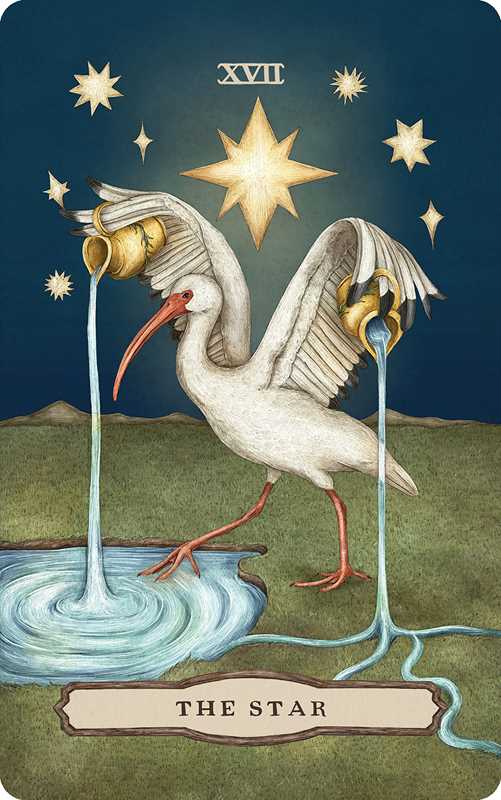 Card from a tarot deck featuring a stork pouring water from a golden cup into a well, with stars in the background.