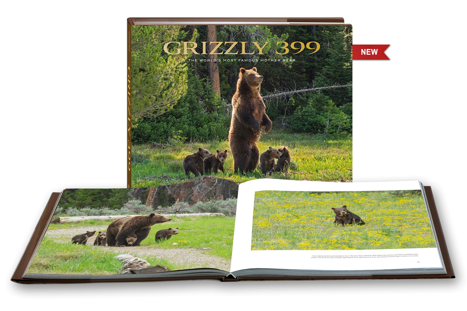 Meet Grizzly Bear 399, the Most Famous Bears in the World - Gaia GPS