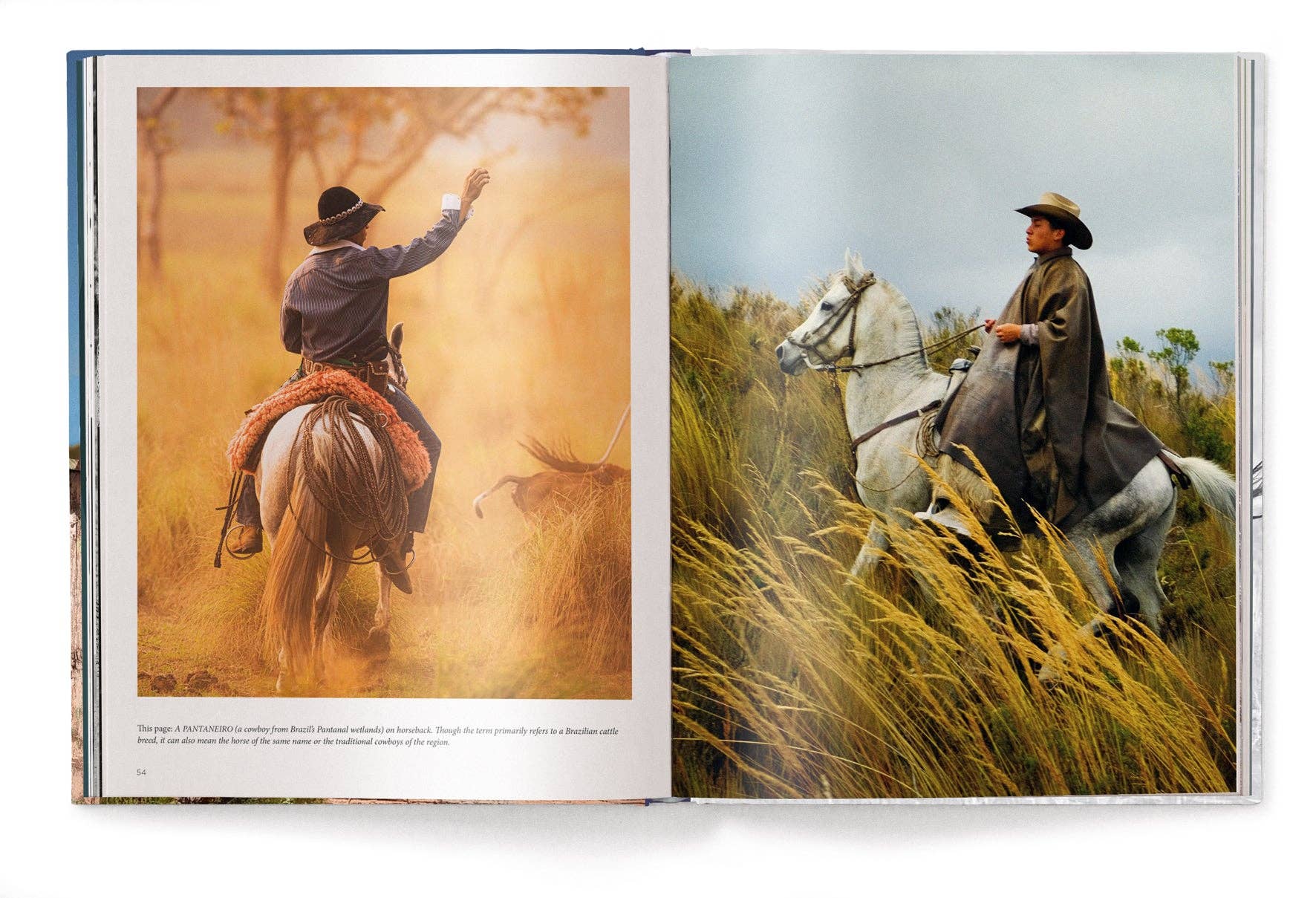 Open book showing two illustrations of a cowboy on horseback in different settings.