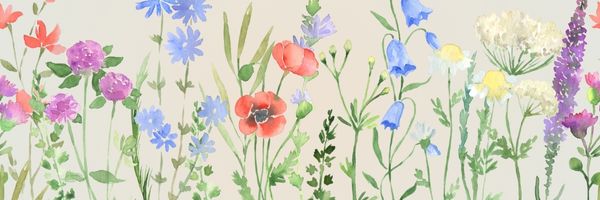 Spring Revival