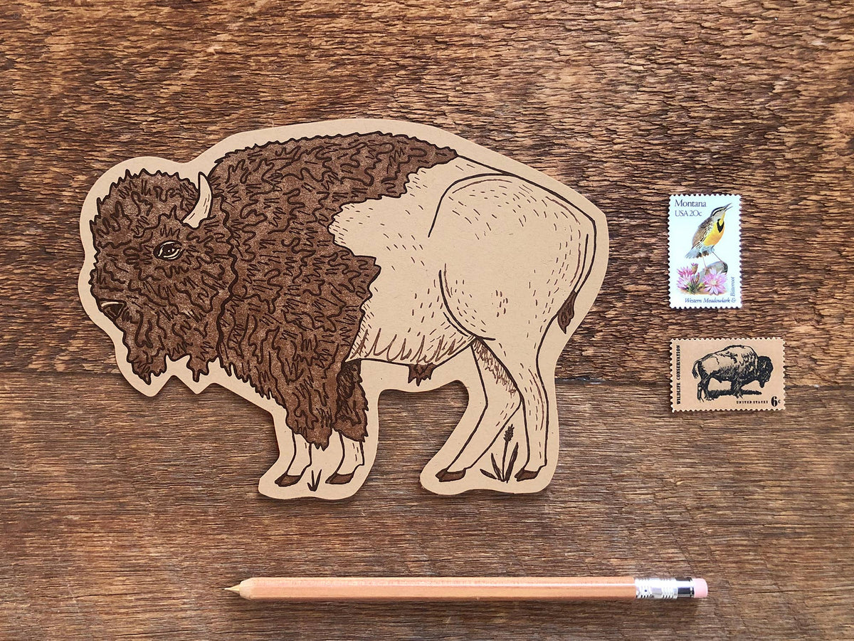 Bison Postcard XL