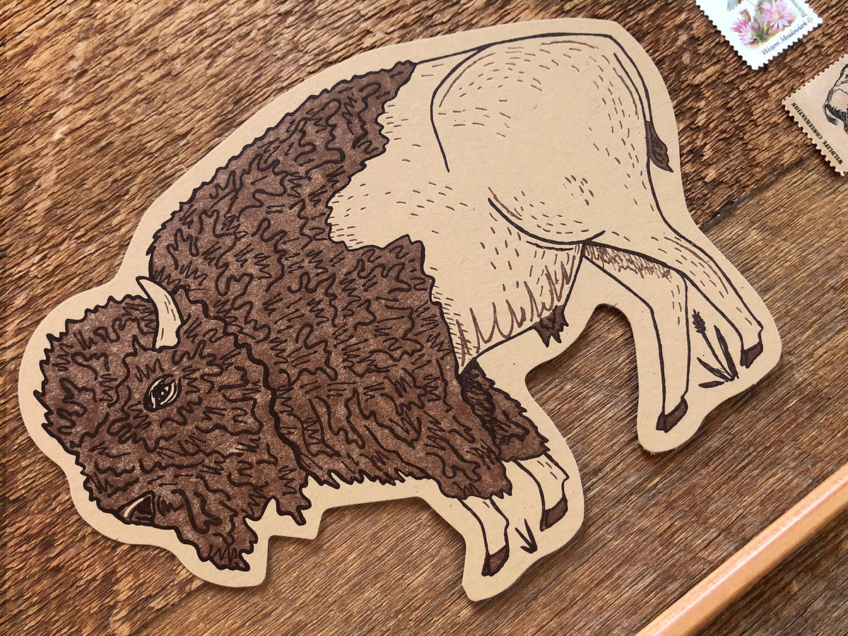 Bison Postcard XL