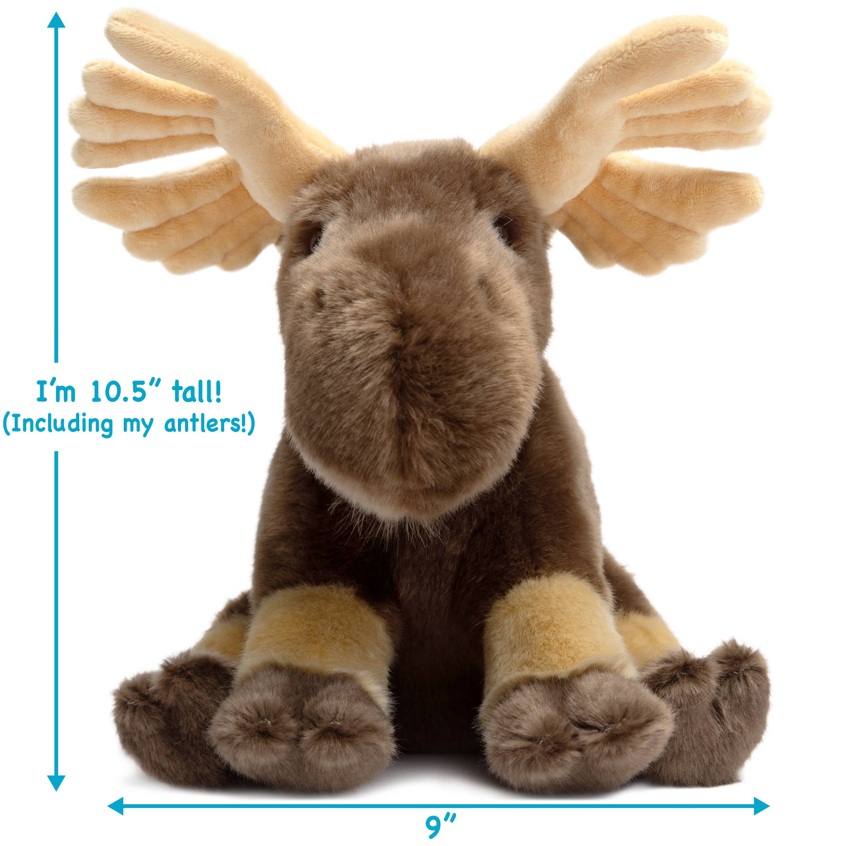 Martin The Moose | 10.5 Inch Stuffed Animal Plush