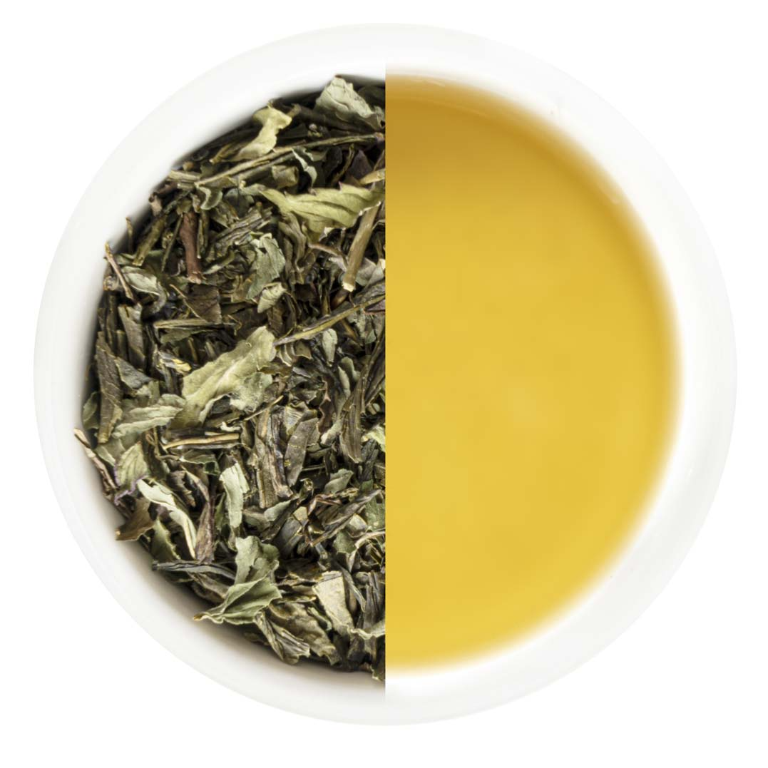 Monista Tea Co. Oriental Garden Green Tea