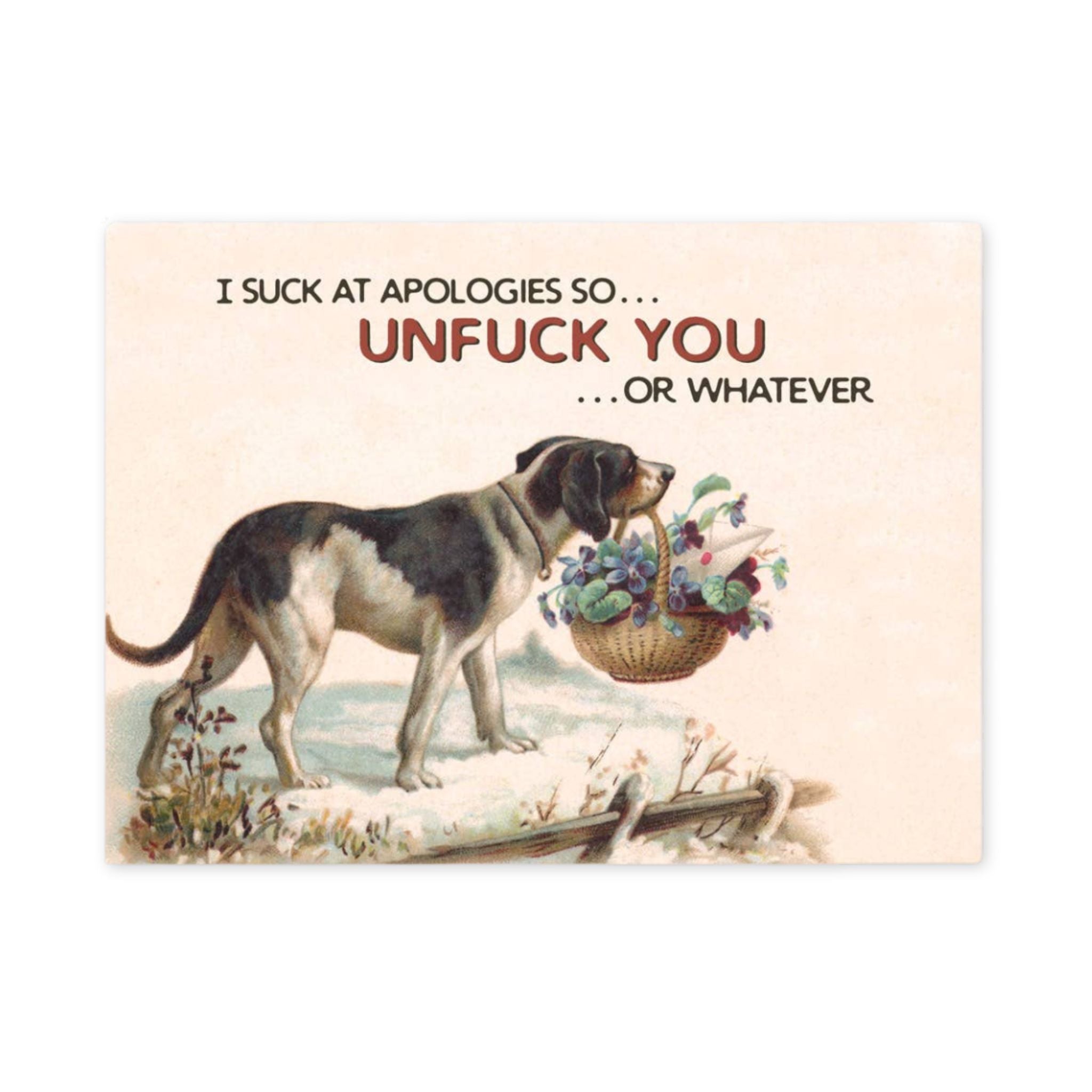 A novelty greeting card featuring a vintage-style illustration of a black-and-white dog standing beside a basket of flowers, with the text 'I SUCK AT APOLOGIES SO.