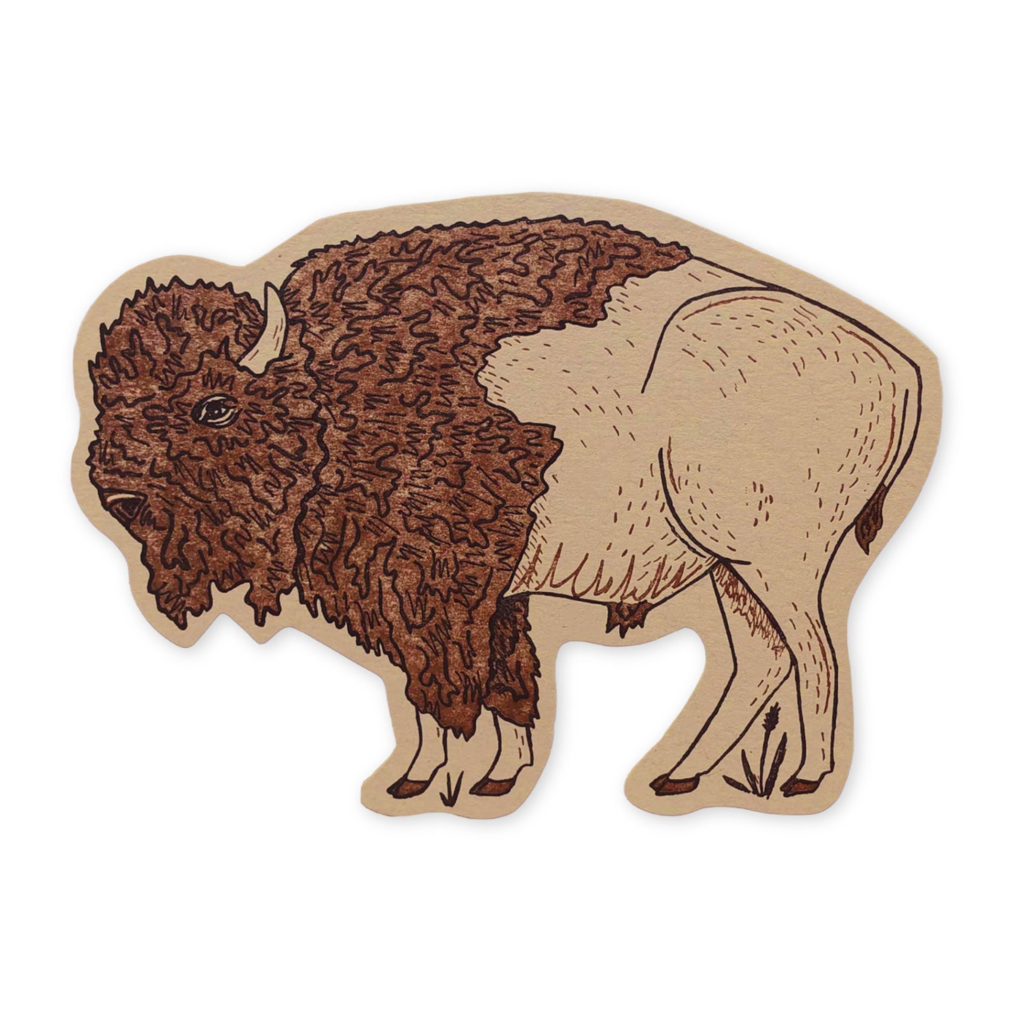 Bison Postcard XL