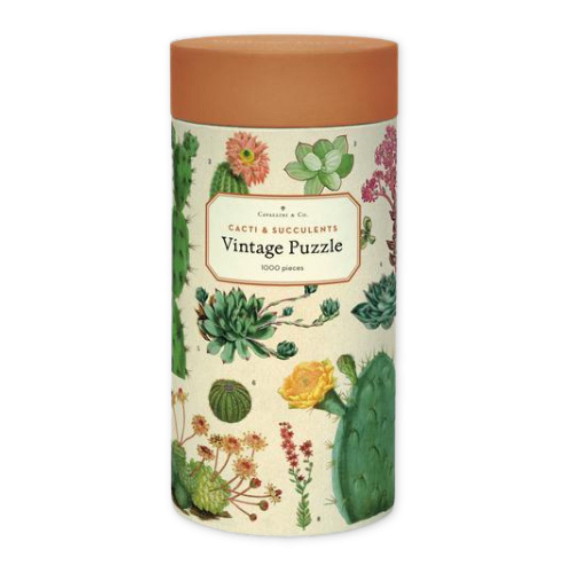succulent plants puzzle Cacti & Succulents Puzzle