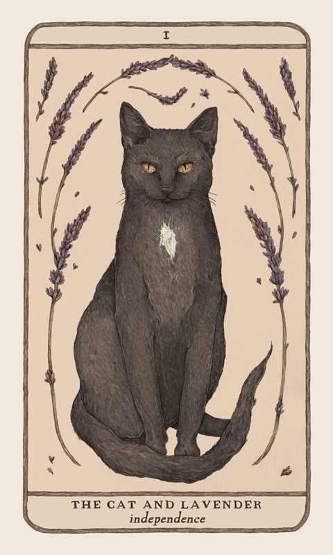 Vintage-style card featuring a black cat and lavender flowers with text 'The Cat and Lavender' and 'Independence'.