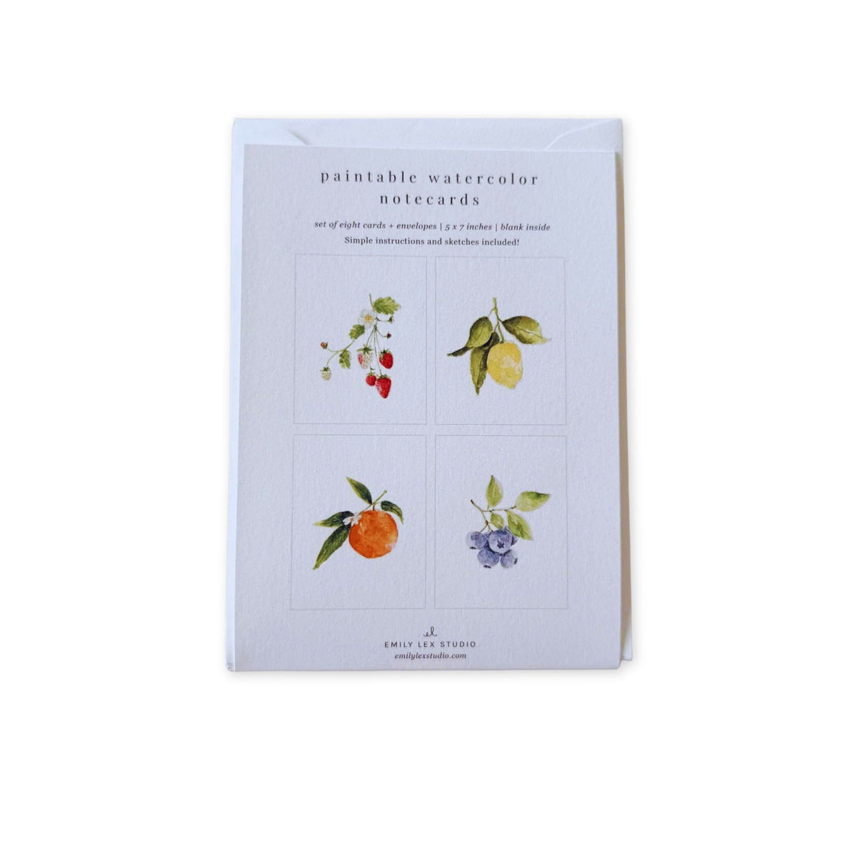 A set of Emily Lee Studio paintable watercolor notecards in a white envelope, featuring four watercolor fruit illustrations on the front cover.