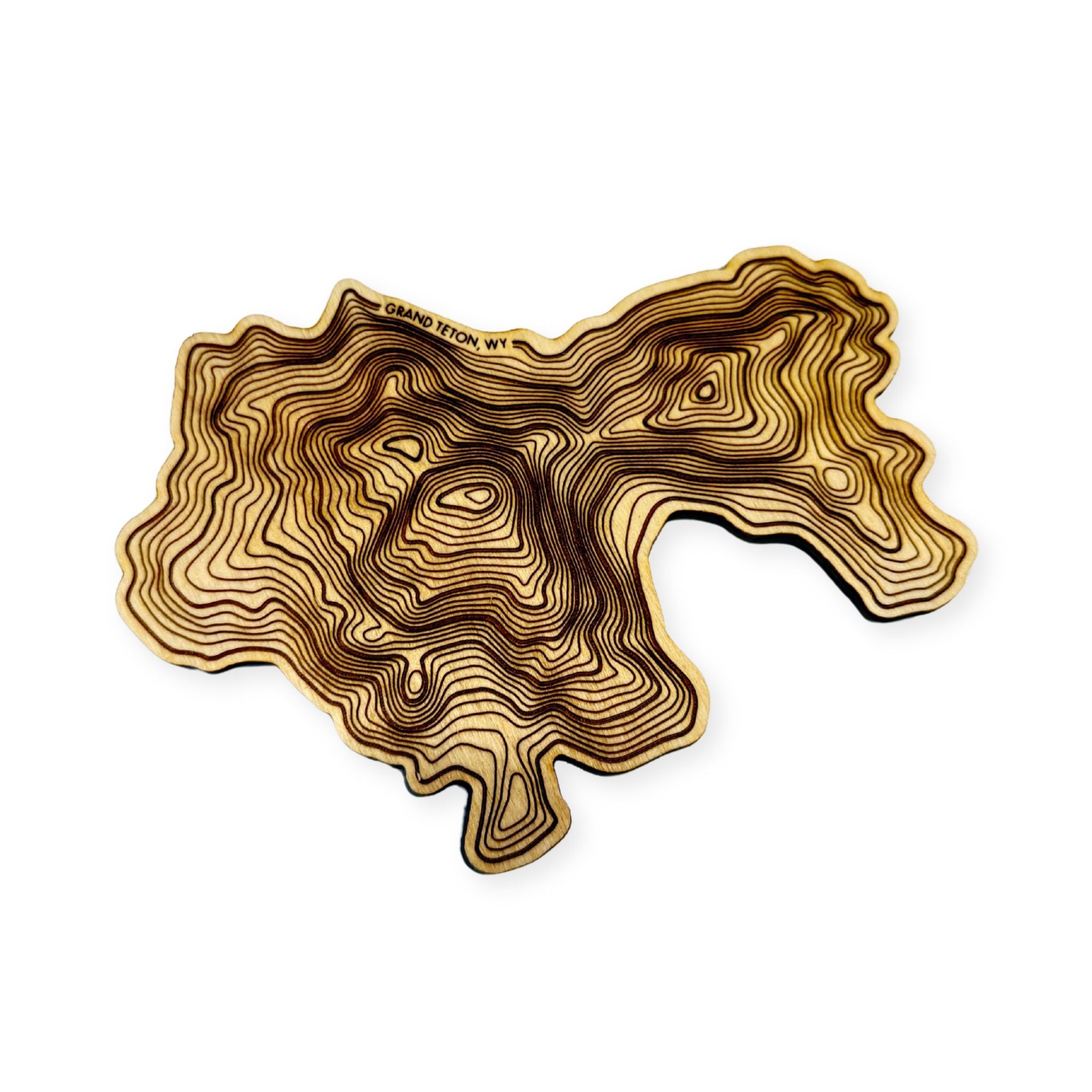 Grand Teton Topo Coaster - Set Of 4