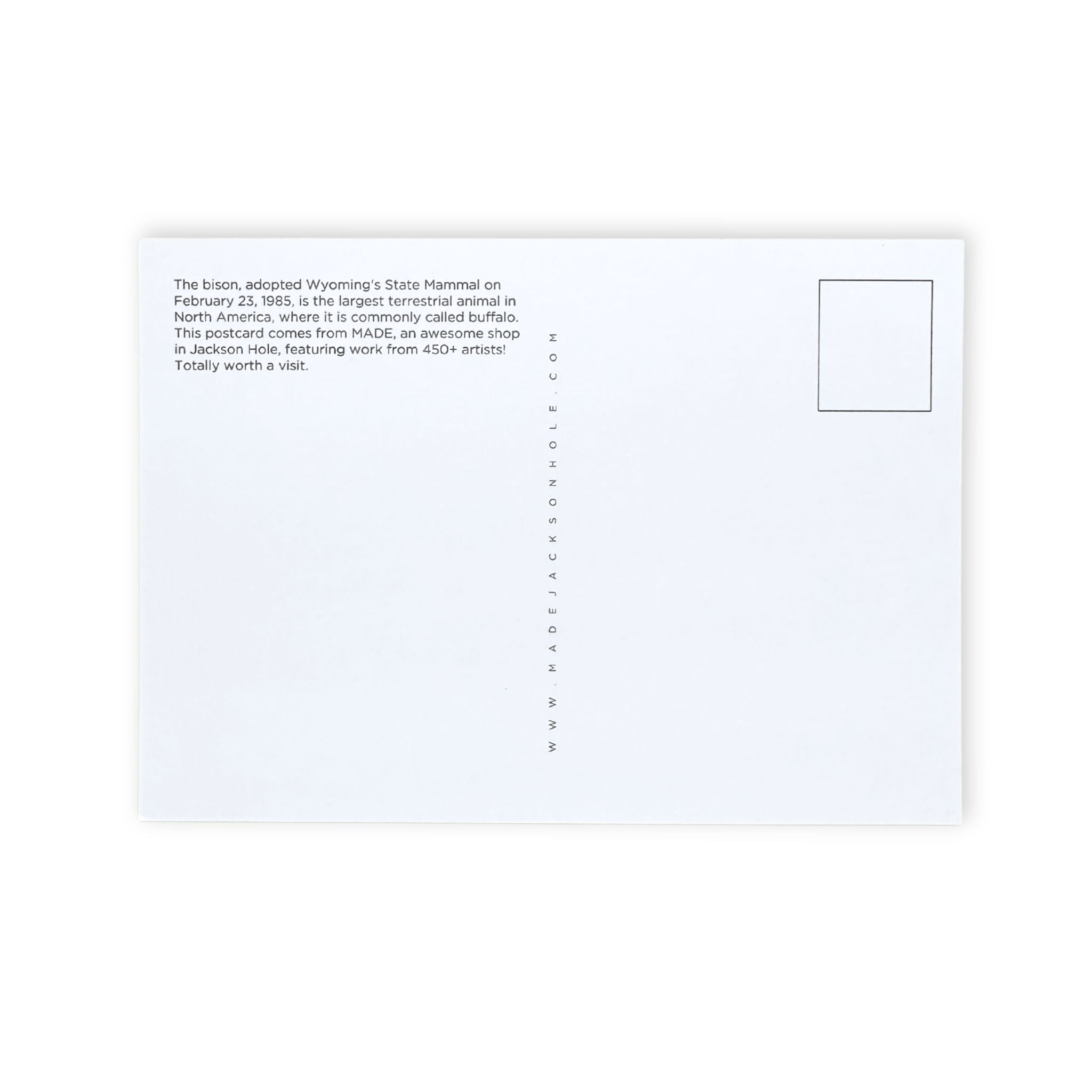 Back of postcard, blank accept for creator credits down the middle. 
