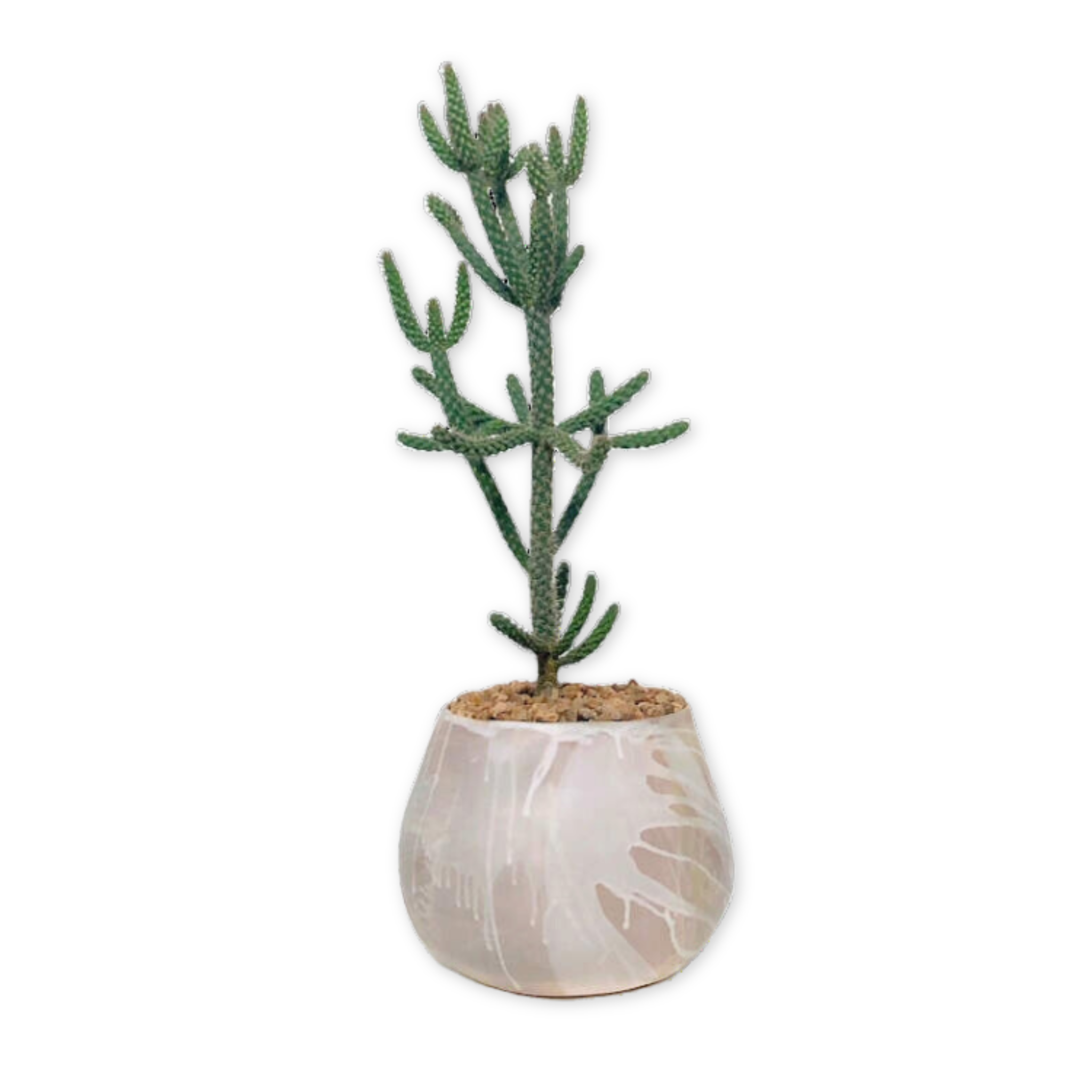 large handmade stoneware clay planter