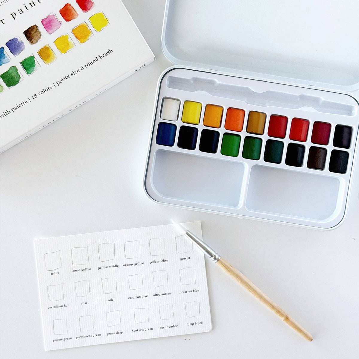 Watercolor paint set with color swatches. 