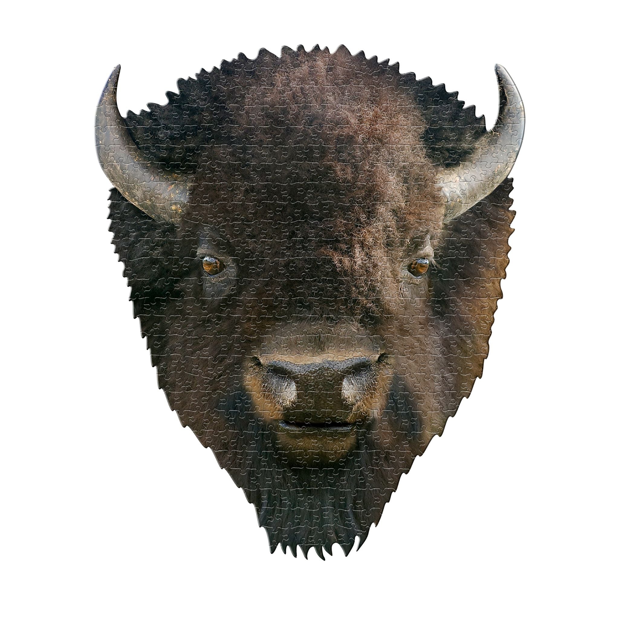 Head of A Bison Puzzle