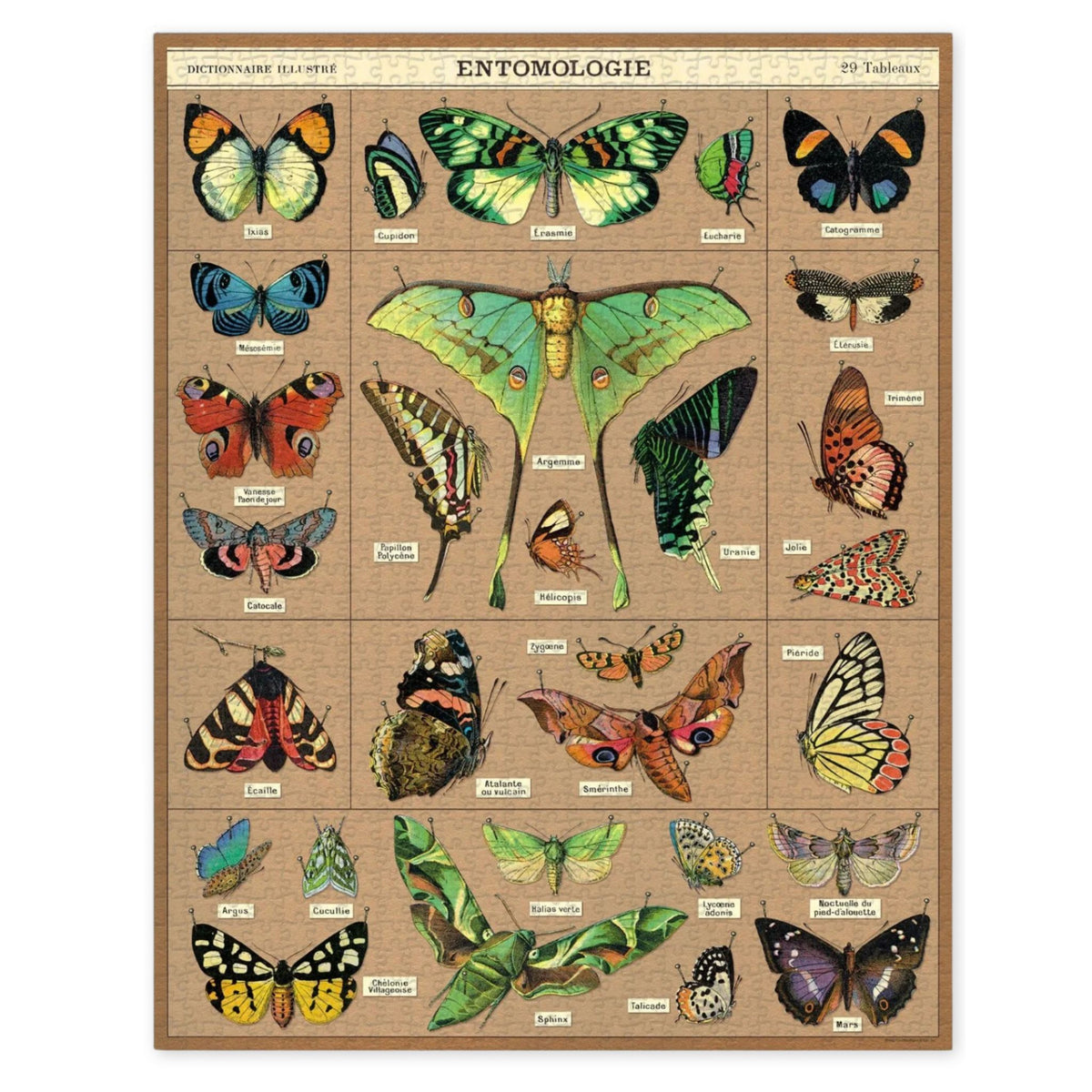 Entomology 1000 Piece Puzzle