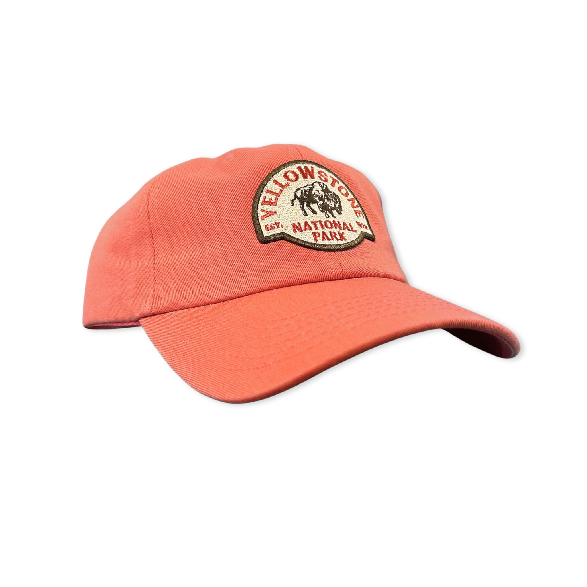 Salmon dad hat featuring a yellowstone bison patch. 