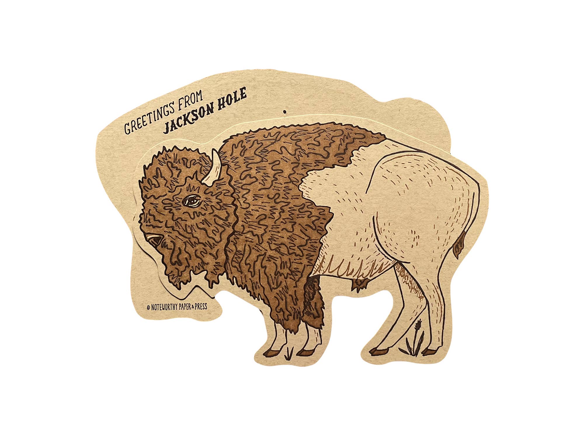 Bison Postcard XL